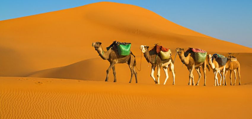 Fas Çöl Rotaları: Merzouga’dan Atlas Dağları’na Yolculuk