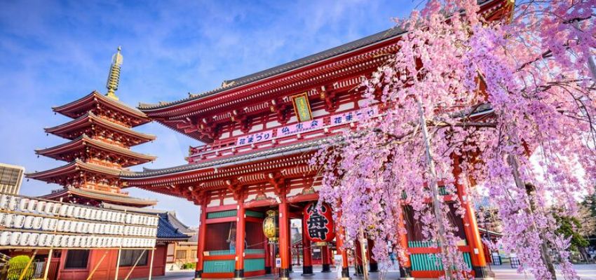 Japonya’ya Nasıl Gidilir? Uçuş ve Tur Planlaması İçin Alogezi Rehberi