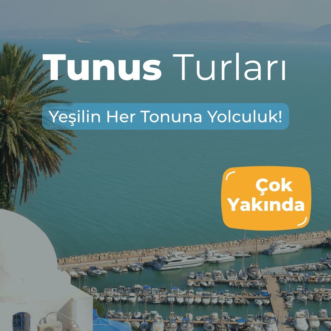 Tunus Turları