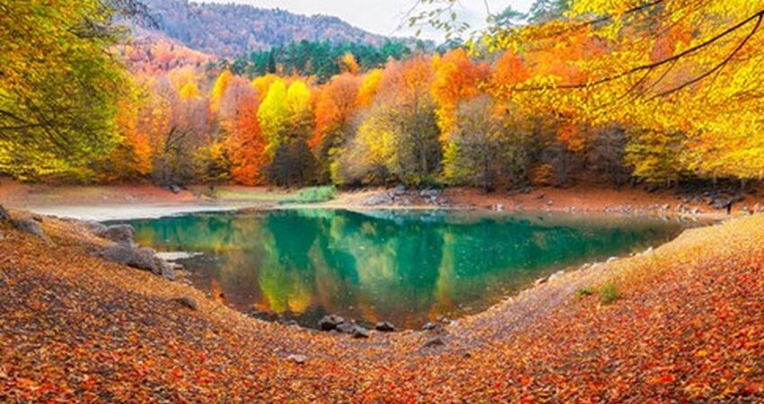 Yedigöller Turu / Günübirlik