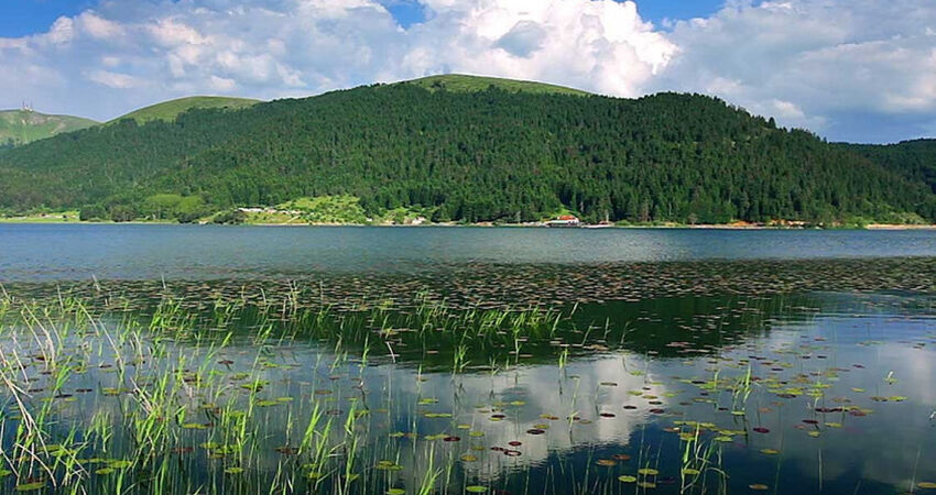 Abant Gölcük Turu / Günübirlik 