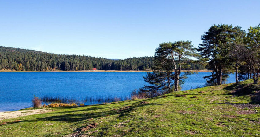 Abant Gölcük Turu / Günübirlik 