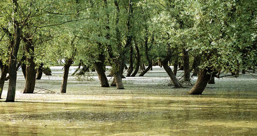 Düzce Güzeldere Şelalesi Efteni Gölü Topuk Yaylası Turu / Günübirlik