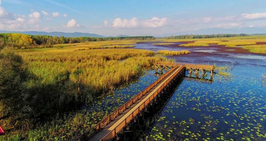 Düzce Güzeldere Şelalesi Efteni Gölü Topuk Yaylası Turu / Günübirlik