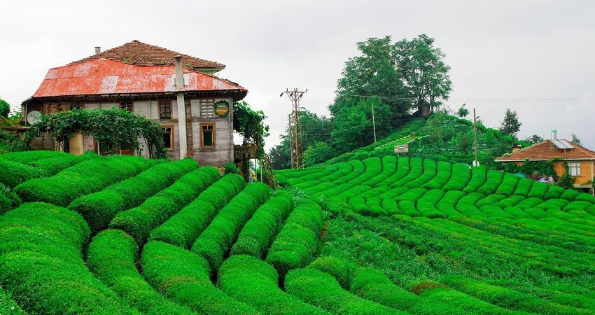 Karadeniz Batum Turu / 5 Gece Konaklamalı