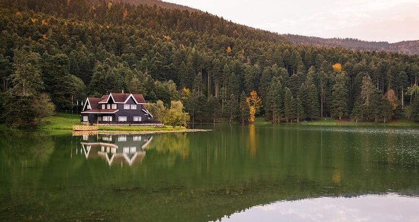 Abant Ormanya Maşukiye Turu / Günübirlik