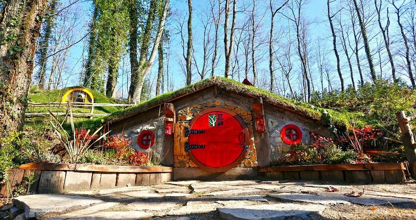 Abant Ormanya Maşukiye Turu / Günübirlik