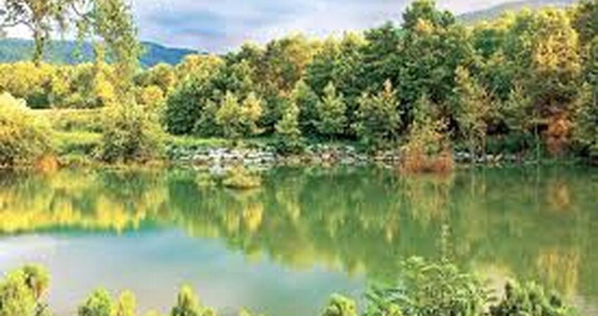 Abant Ormanya Maşukiye Turu / Günübirlik