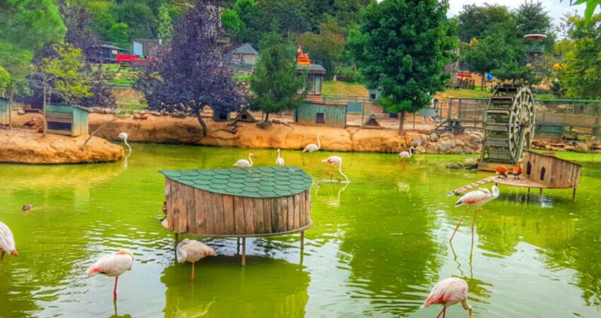 Şile Ağva Polonezköy Turu / Günübirlik