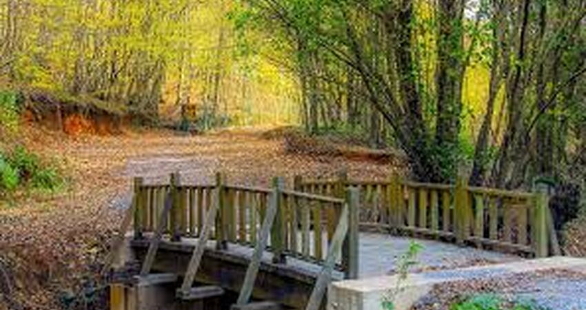 Şile Ağva Polonezköy Turu / Günübirlik