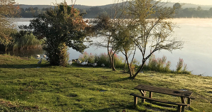 Acarlar Longozu Poyrazlar Gölü Turu / Günübirlik