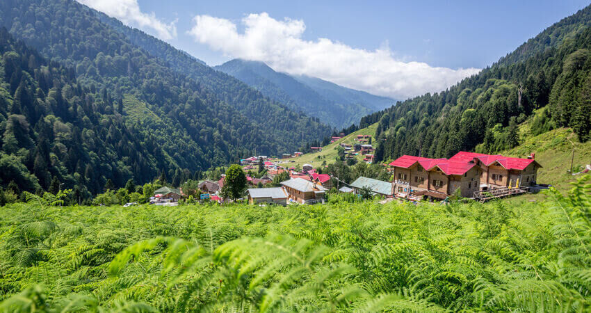 Doğu Karadeniz Yaylaları ve Batum Tiflis Kars Erzurum Turu (5 Gece Otel Konaklamalı)