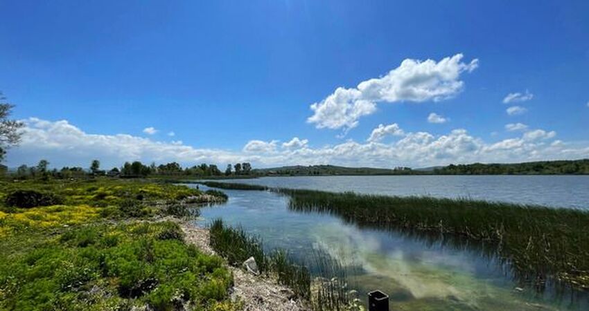 Acarlar Longozu Poyrazlar Gölü Turu / Günübirlik
