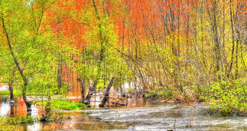 Acarlar Longozu Poyrazlar Gölü Turu / Günübirlik