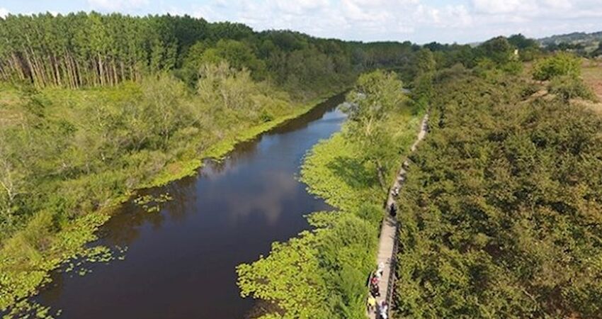 Acarlar Longozu Poyrazlar Gölü Turu / Günübirlik
