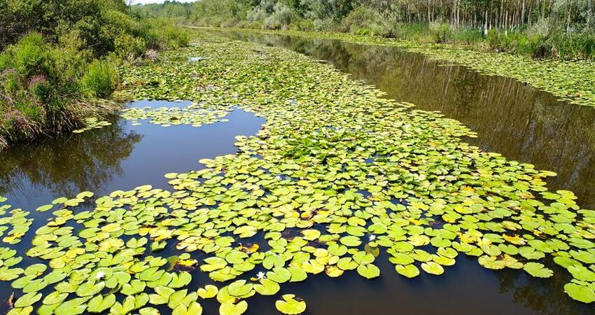 Acarlar Longozu Poyrazlar Gölü Turu / Günübirlik