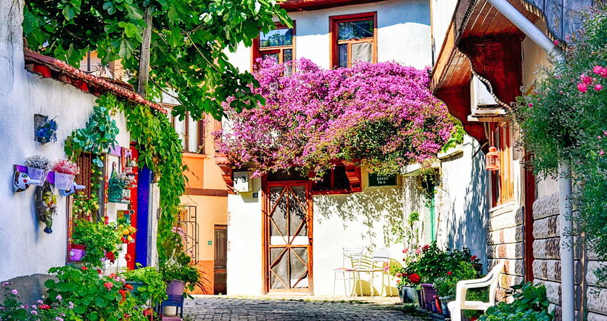 Bursa Cumalıkızık Gölyazı Mudanya Trilye Turu / Günübirlik