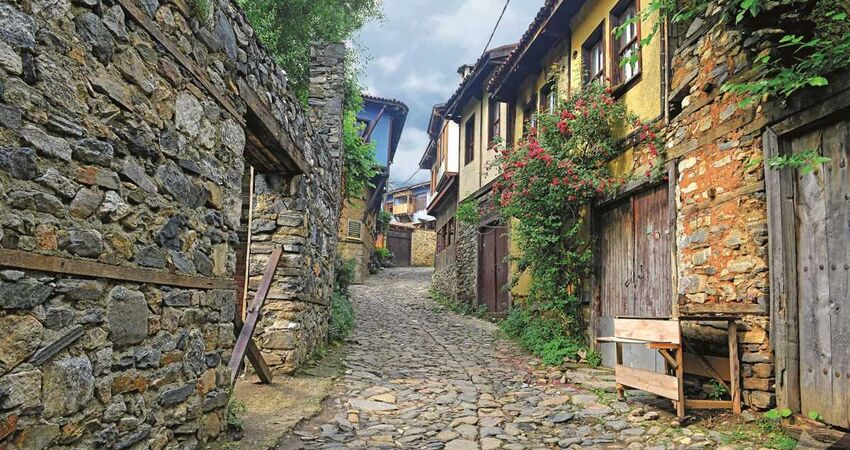 Bursa Cumalıkızık Gölyazı Mudanya Trilye Turu / Günübirlik