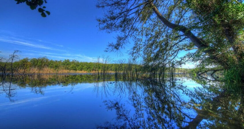 Dupnisa Mağarası İğneada Longoz Ormanları Turu / Günübirlik