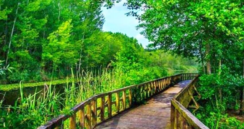 Dupnisa Mağarası İğneada Longoz Ormanları Turu / Günübirlik