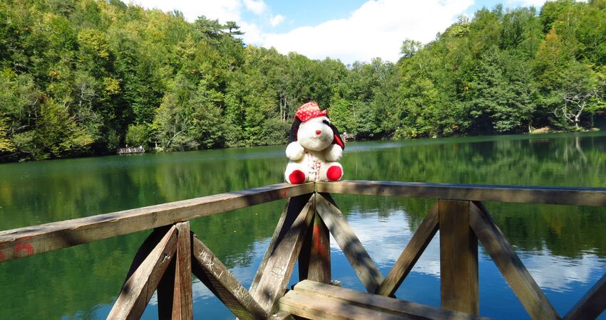 Yedigöller Turu / Günübirlik