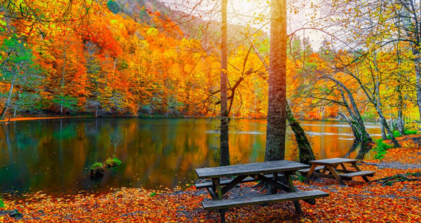 Yedigöller Turu / Günübirlik