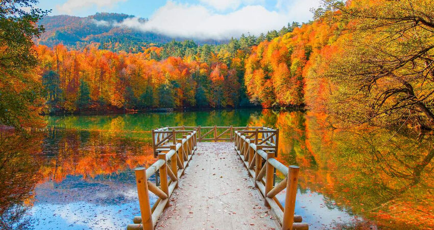 Yedigöller Turu / Günübirlik